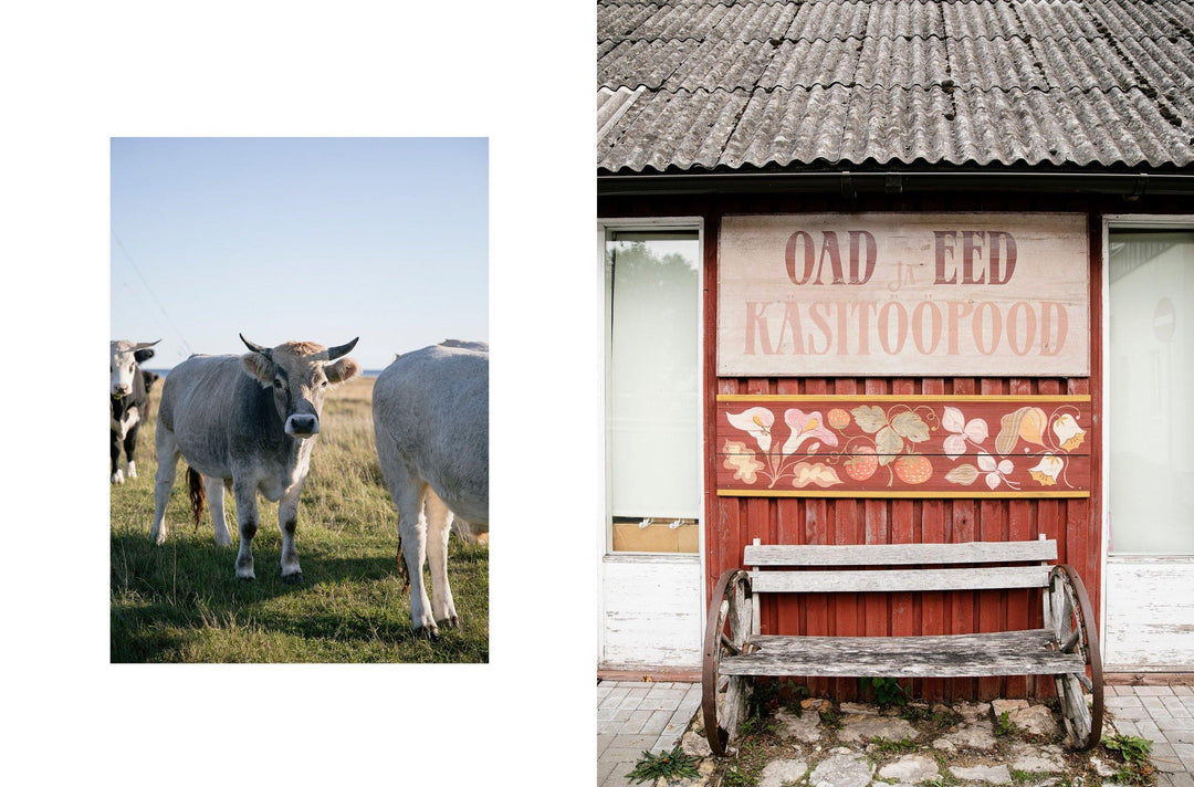 Traditions Revisited by Aleks Byrd // Laine