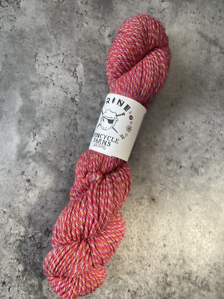 Spincycle Yarns // Trine // 10ply
