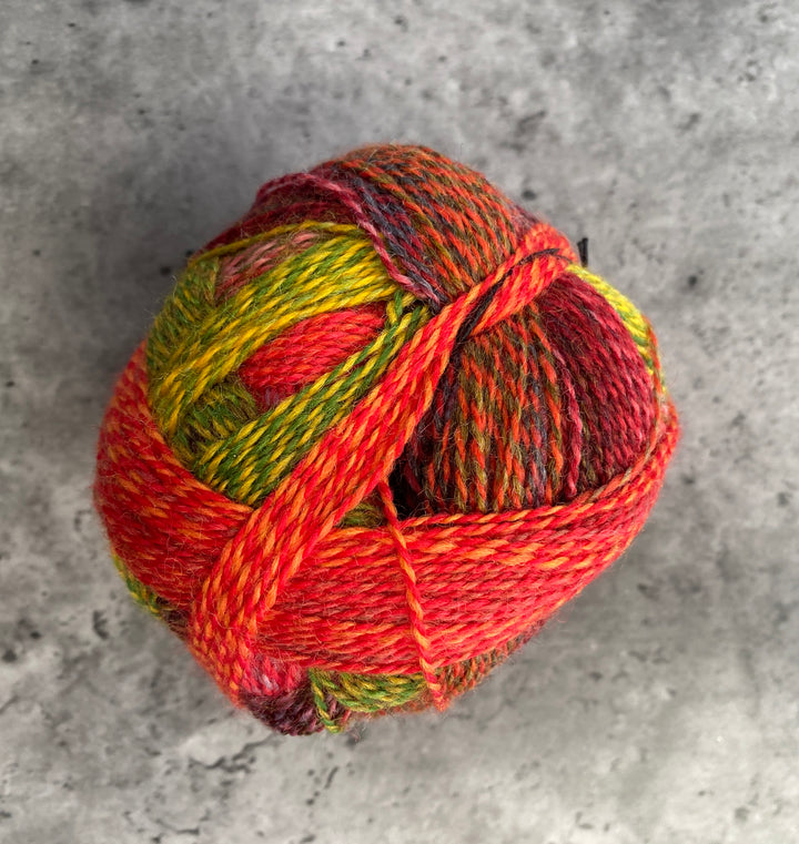 Schoppel Wolle Zauberball Crazy // 4 ply