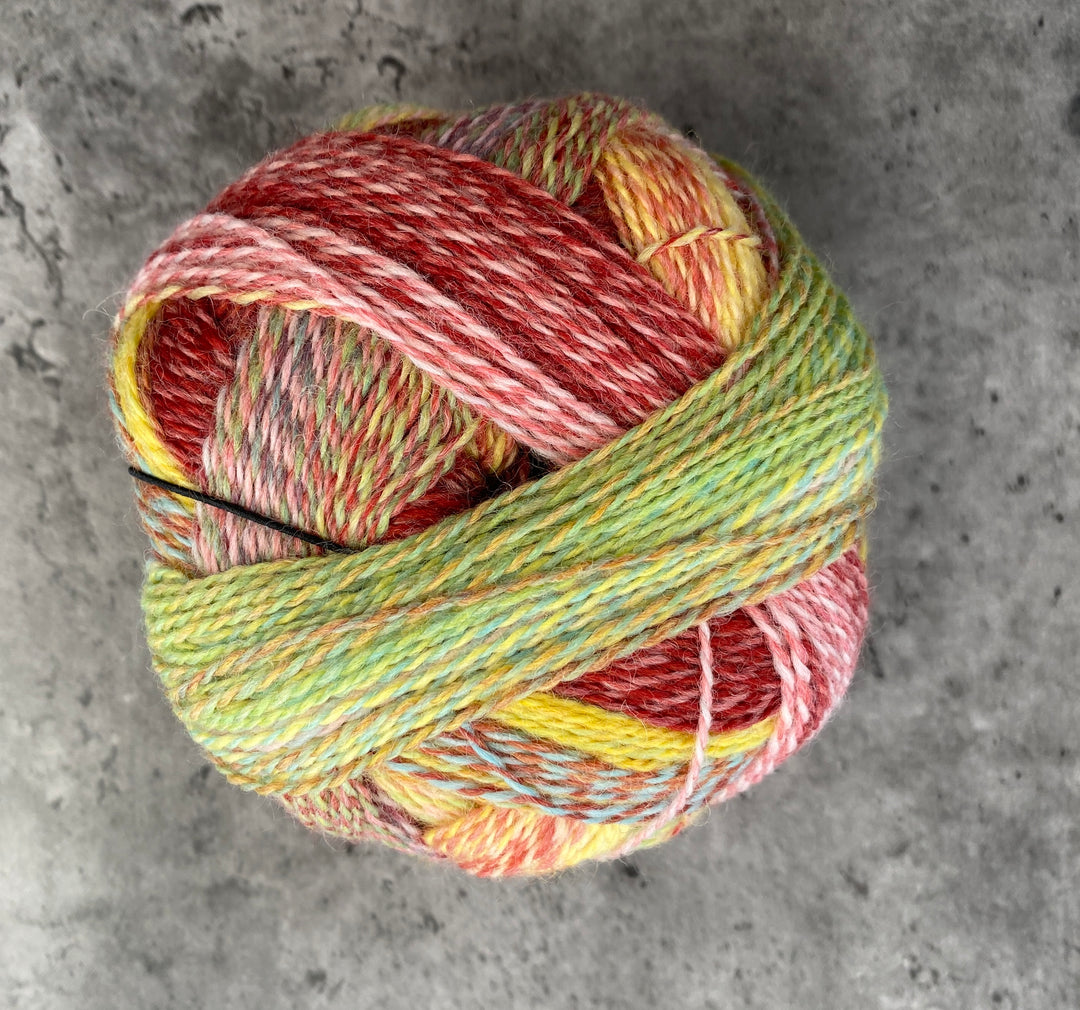 Schoppel Wolle Zauberball Crazy // 4 ply