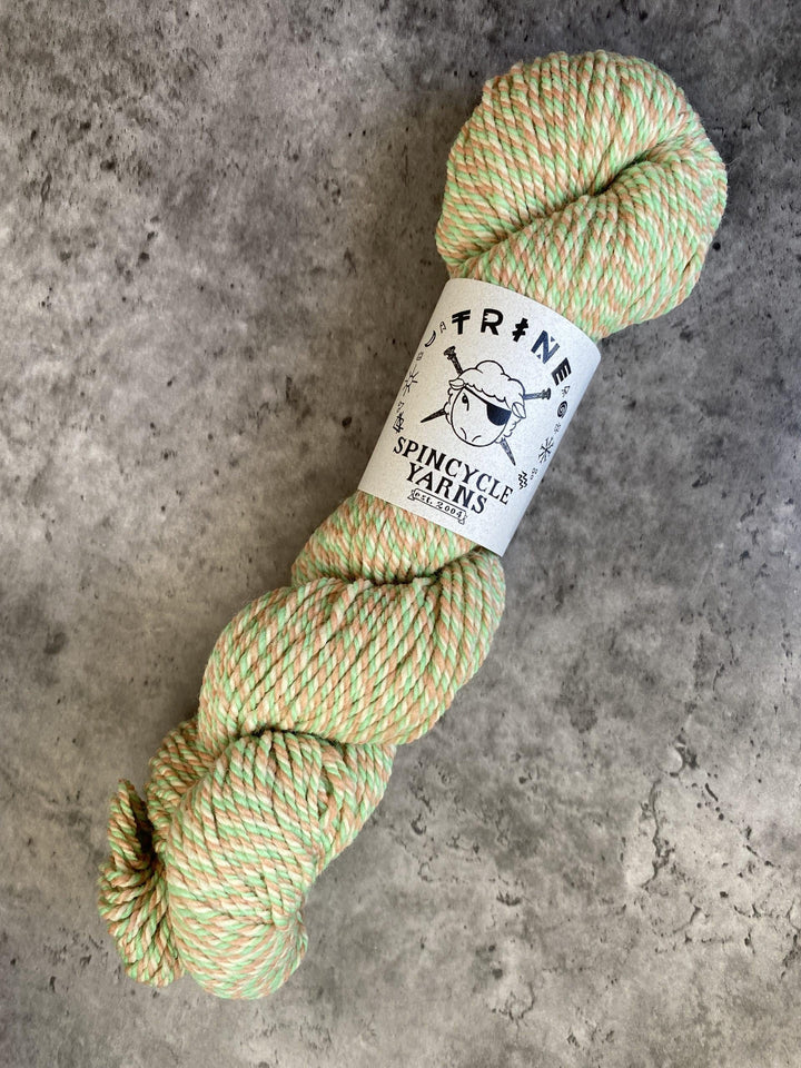 Spincycle Yarns // Trine // 10ply