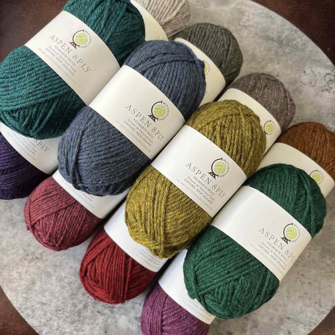 Wild Earth Yarns Aspen  Polwarth // 8ply