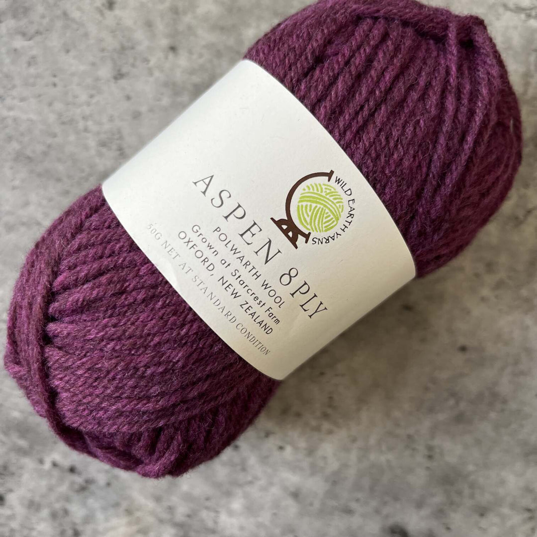 Wild Earth Yarns Aspen  Polwarth // 8ply