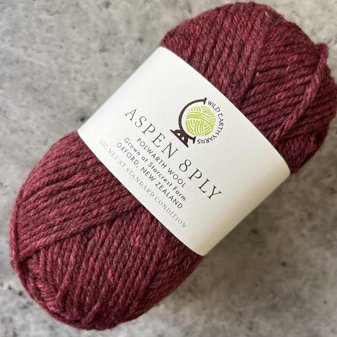 Wild Earth Yarns Aspen  Polwarth // 8ply