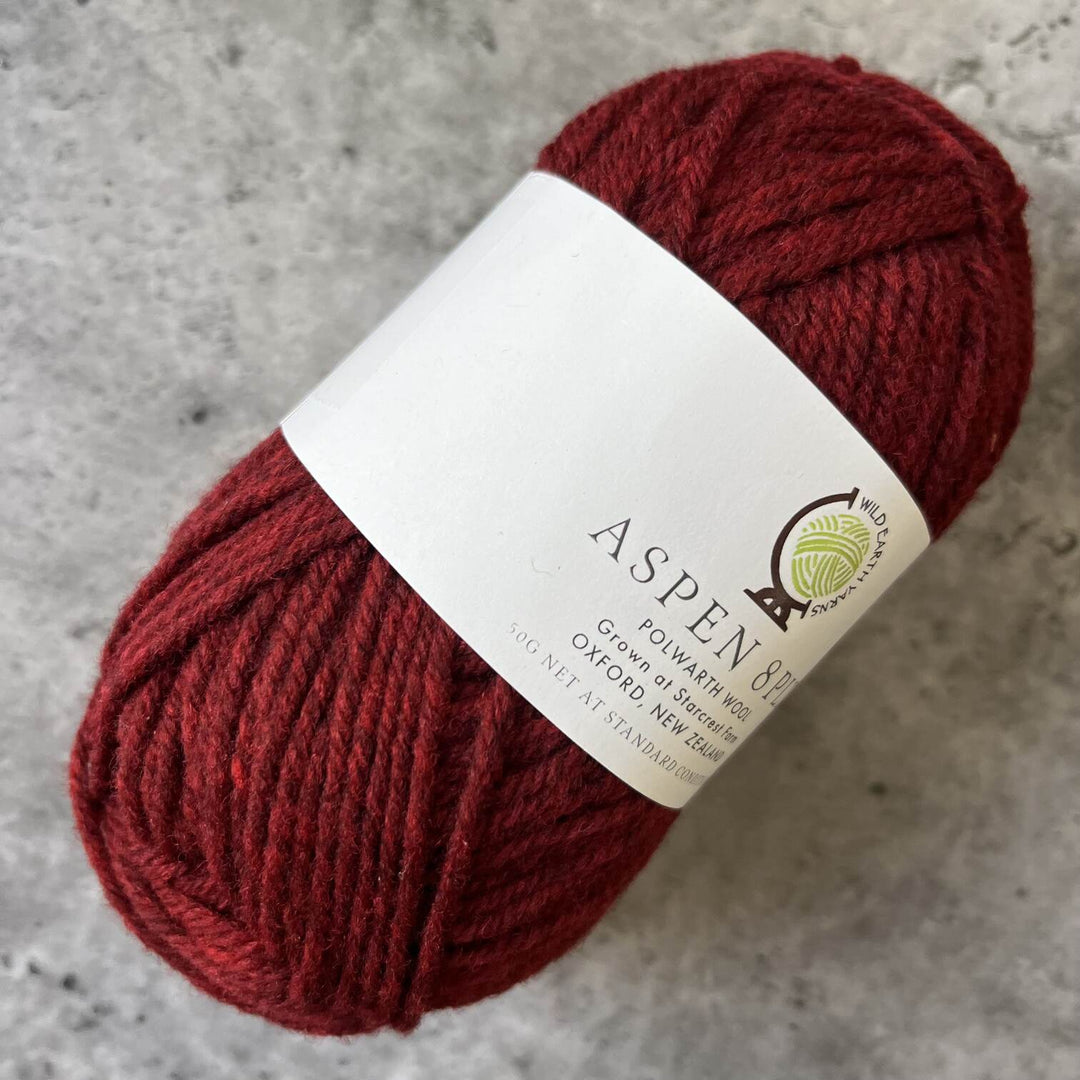 Wild Earth Yarns Aspen  Polwarth // 8ply
