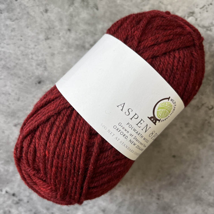 Wild Earth Yarns Aspen  Polwarth // 8ply