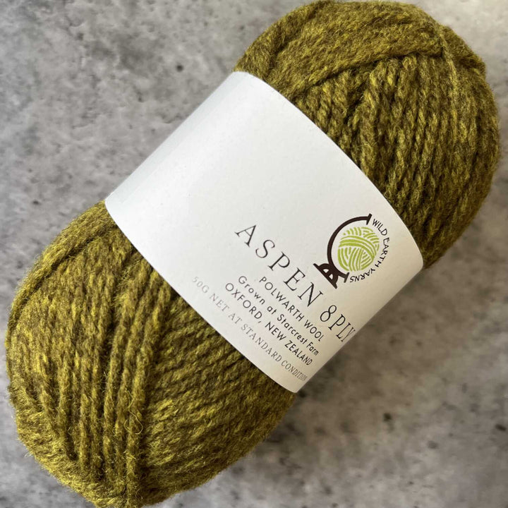 Wild Earth Yarns Aspen  Polwarth // 8ply