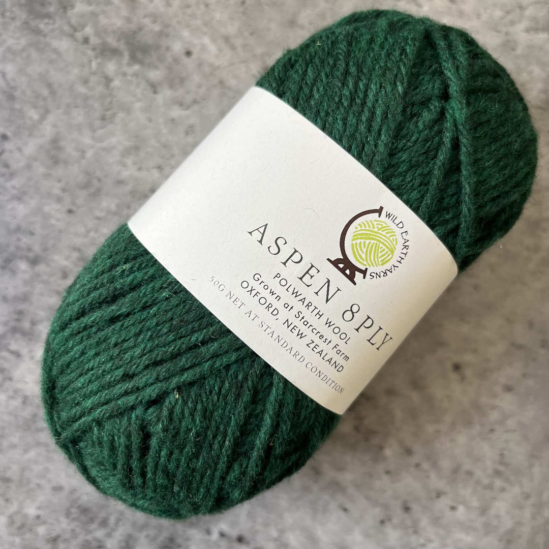 Wild Earth Yarns Aspen  Polwarth // 8ply