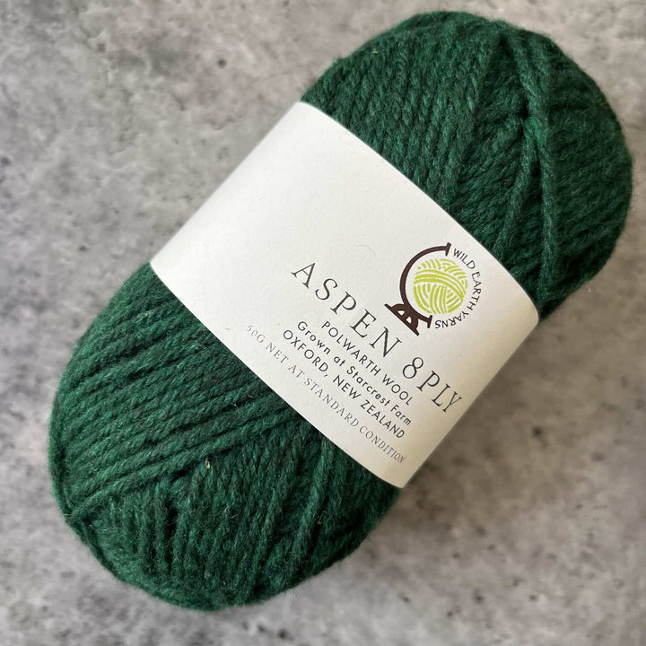 Wild Earth Yarns Aspen  Polwarth // 8ply