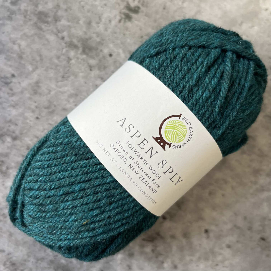 Wild Earth Yarns Aspen  Polwarth // 8ply