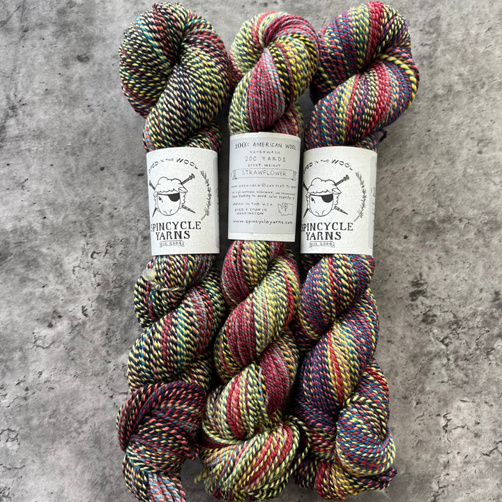 Spincycle Yarns // Dyed In The Wool // 5ply