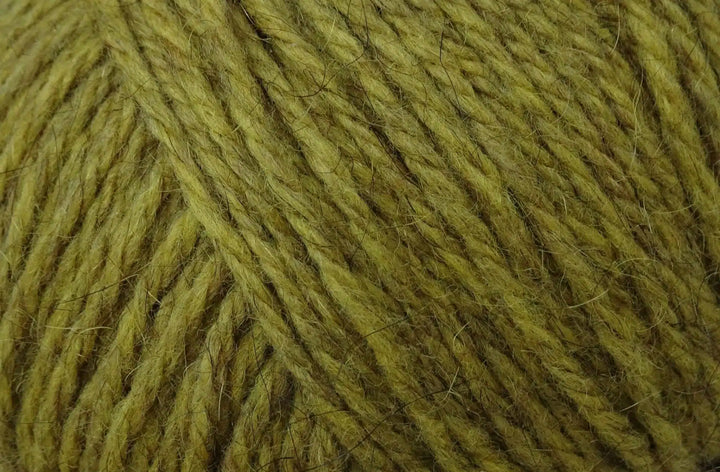 Zealana Rimu // DK