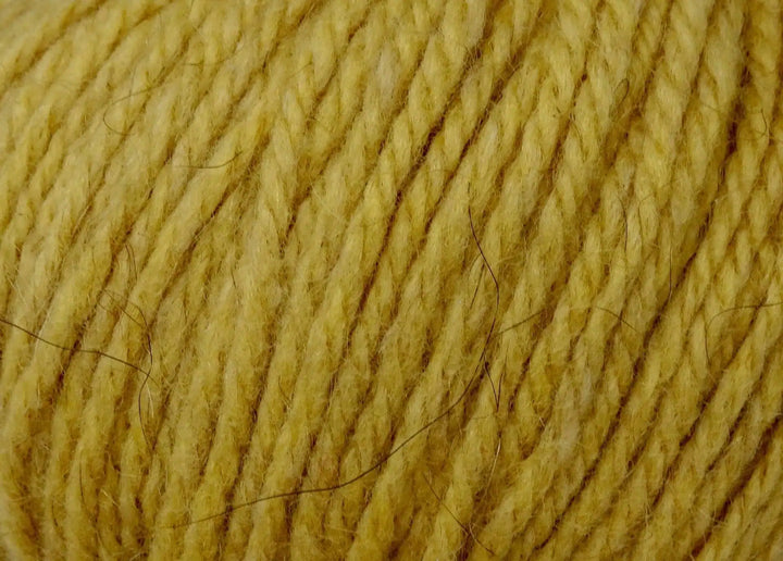 Zealana Rimu // DK