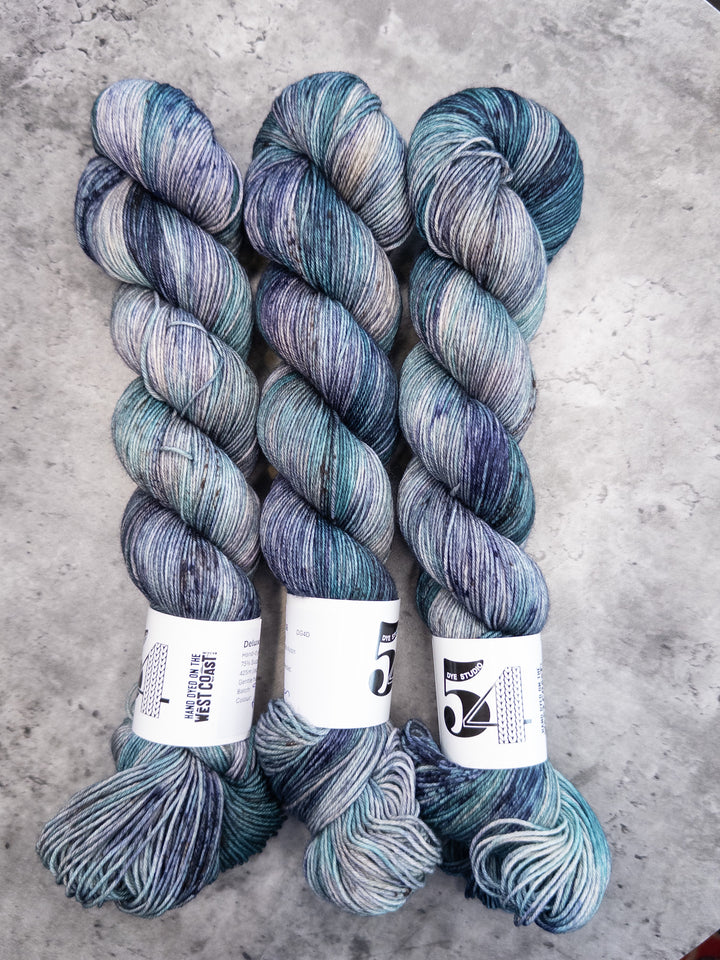 Dye Studio 54 Sock Yarn