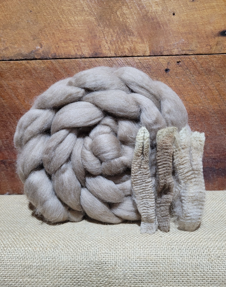 Haunui Combed Top