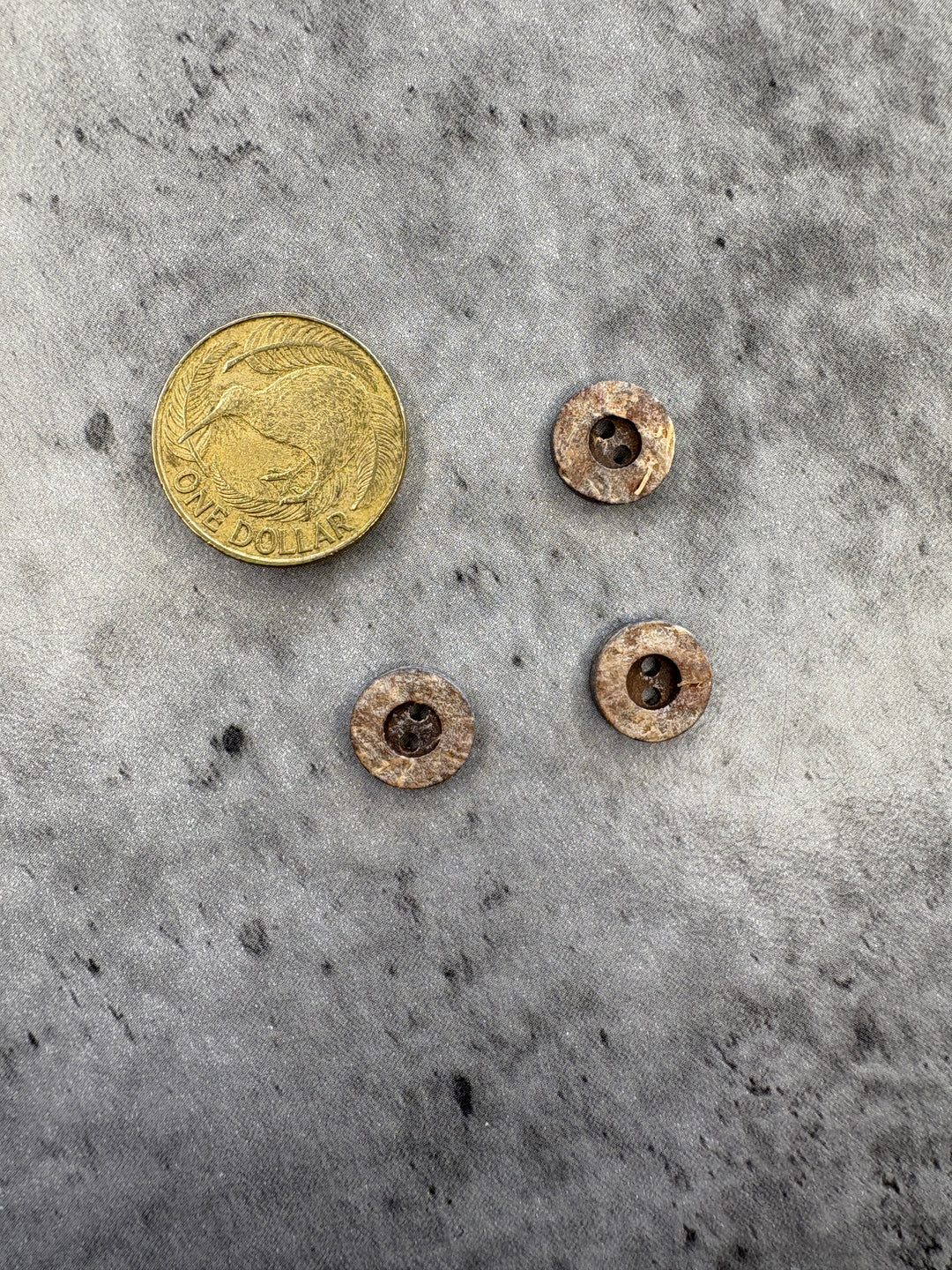Rigged Coconut Button - 10mm