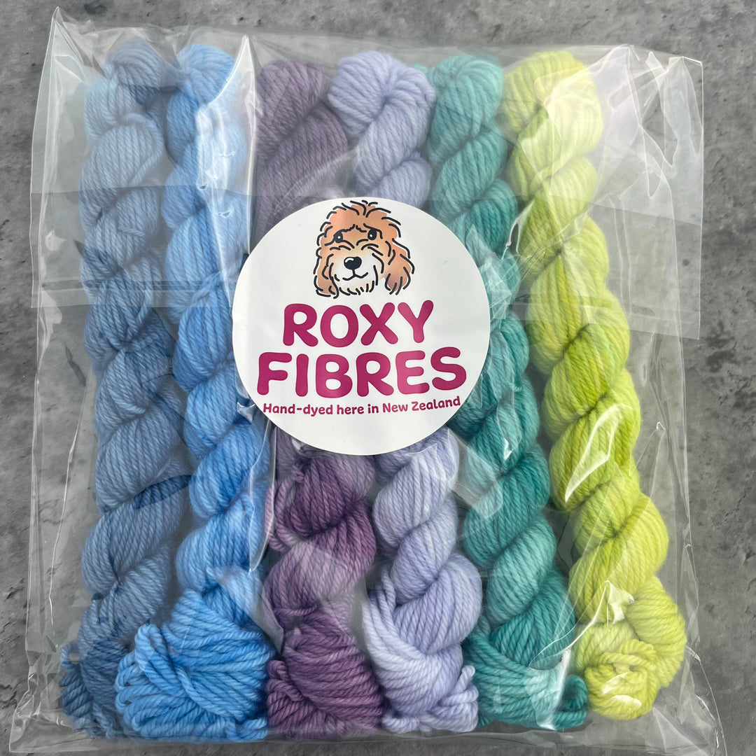 Roxy Fibres Walkies 8ply Mini Skein Kits