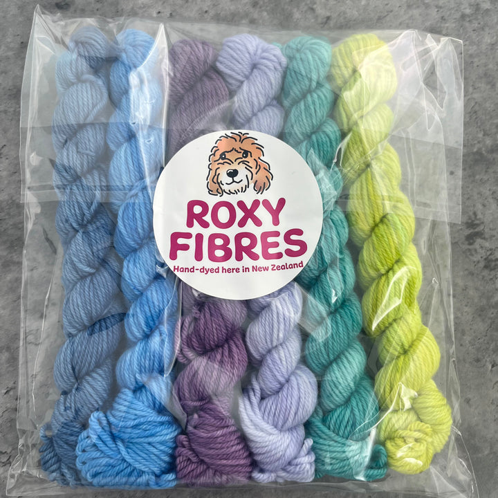 Roxy Fibres Walkies 8ply Mini Skein Kits