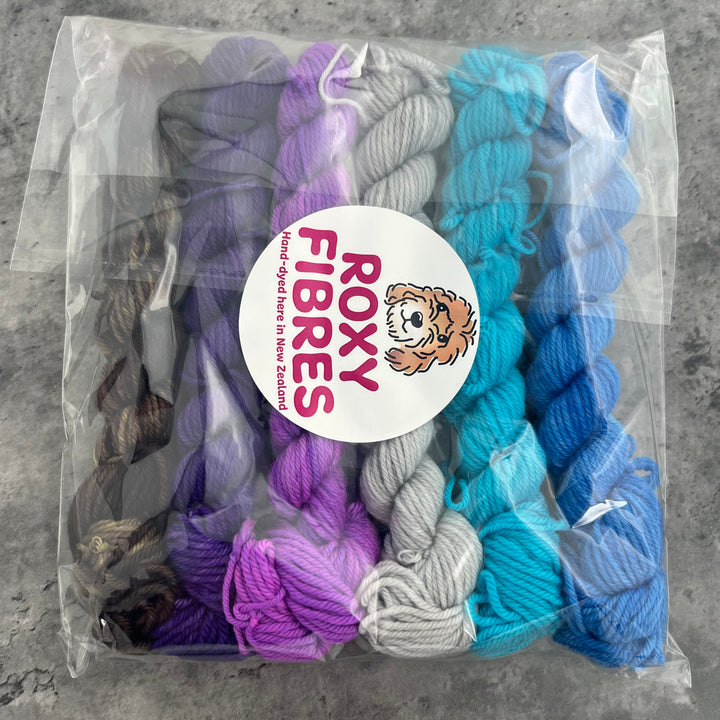 Roxy Fibres Walkies 8ply Mini Skein Kits