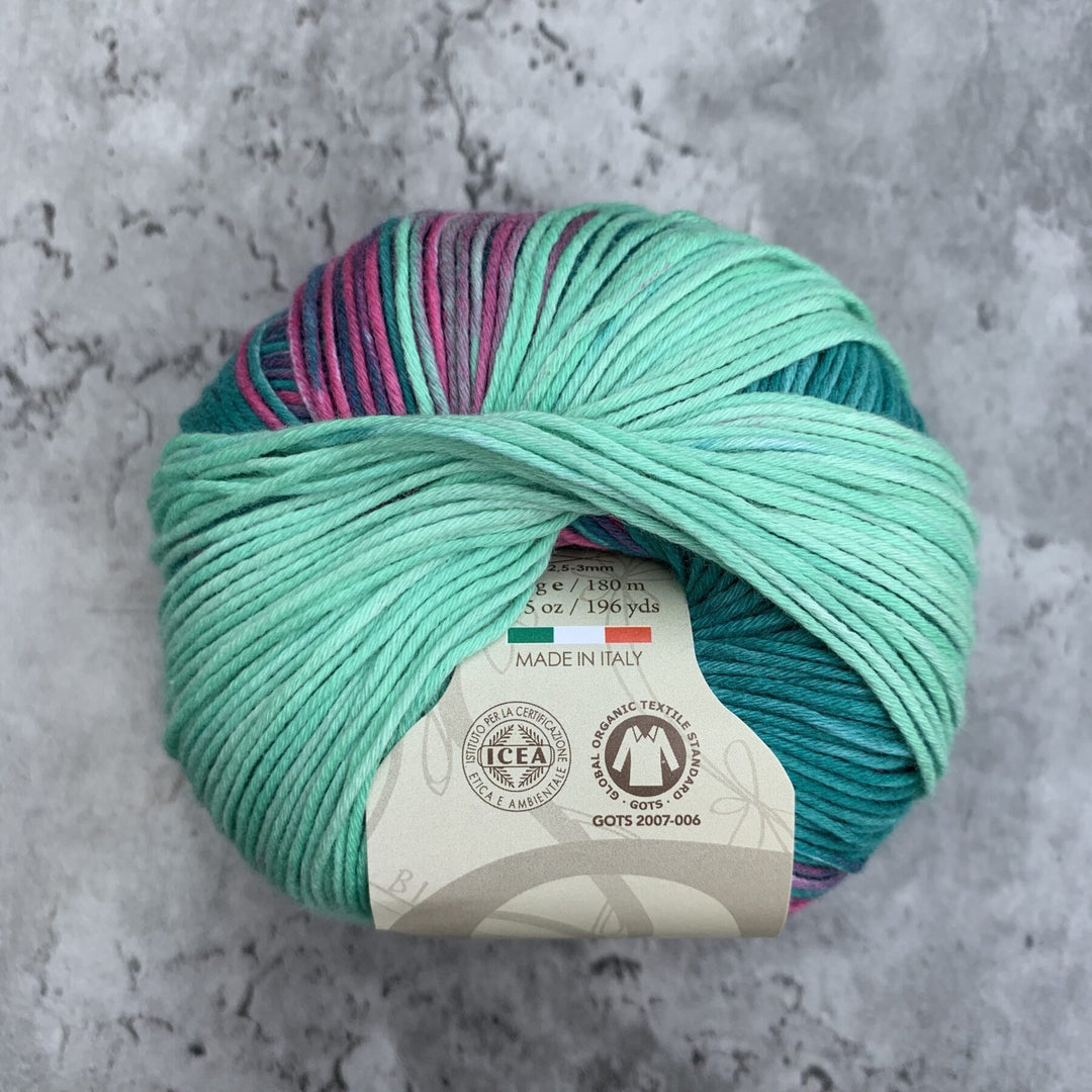 Sesia // Bio Bimbo Organic Cotton // 4ply