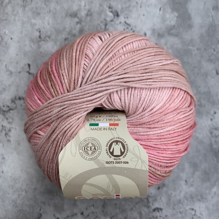 Sesia // Bio Bimbo Organic Cotton // 4ply