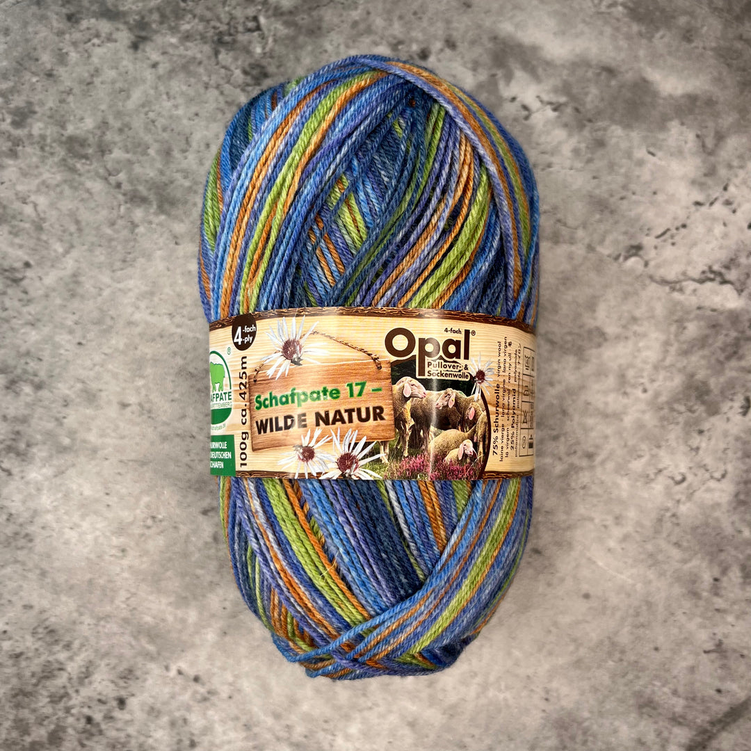 Opal Schafpate 17 Streifzug Sock Yarn // 4ply