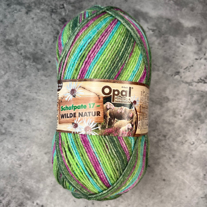 Opal Schafpate 17 Streifzug Sock Yarn // 4ply