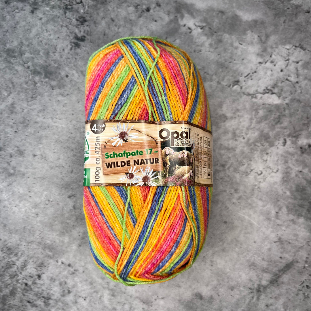Opal Schafpate 17 Streifzug Sock Yarn // 4ply