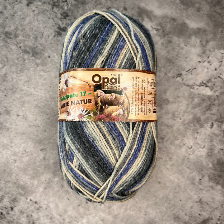 Opal Schafpate 17 Streifzug Sock Yarn // 4ply