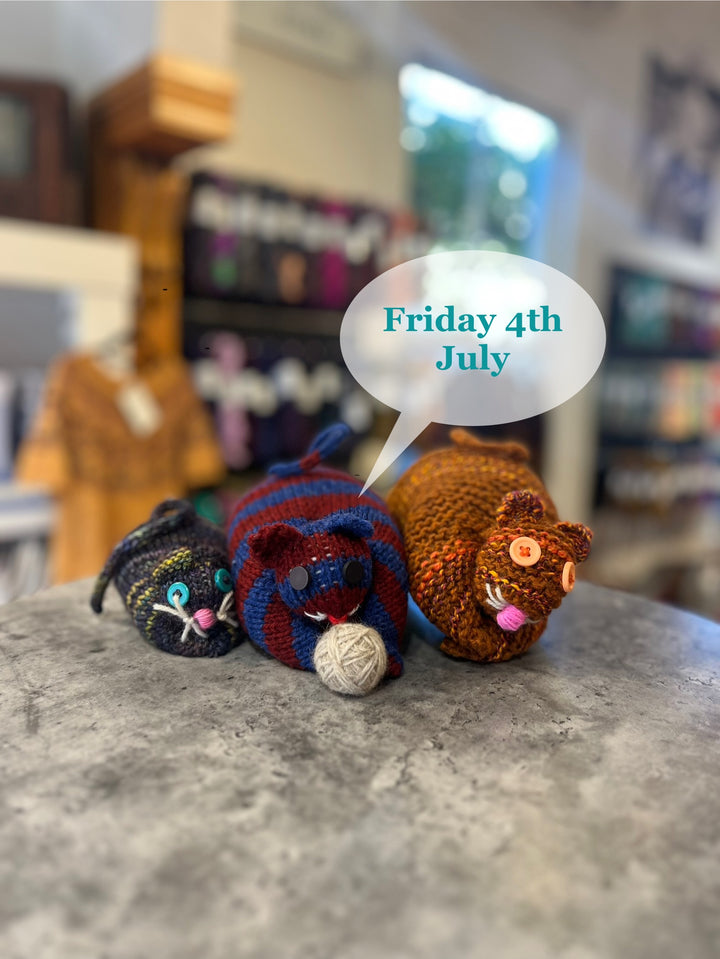 Whiskers the Cat - Kids Knit Workshop - 4th July 2025