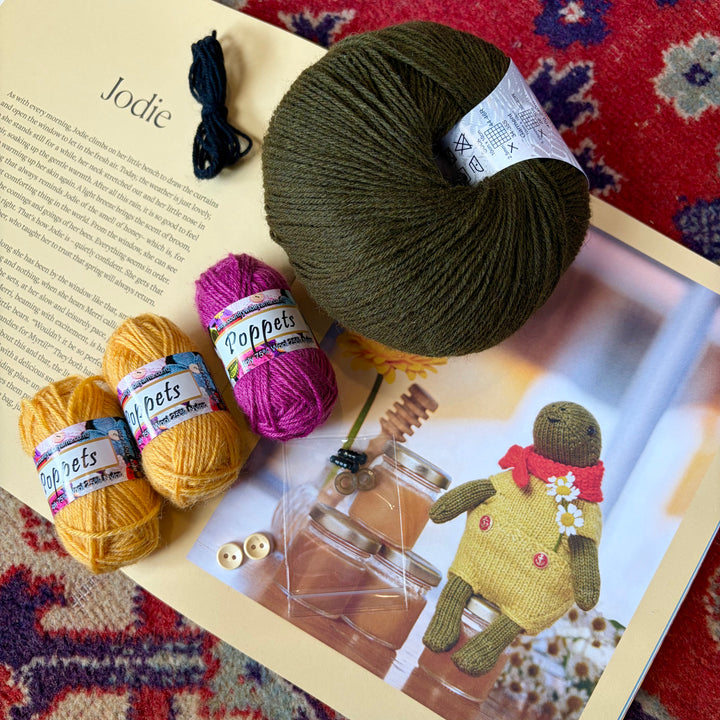 Jodie the Turtle Yarn Kit