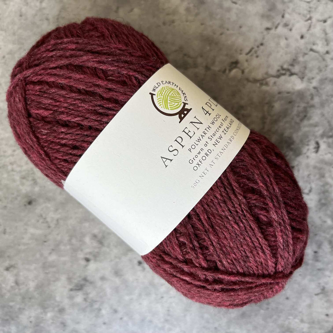 Wild Earth Yarns Aspen Polwarth // 4ply