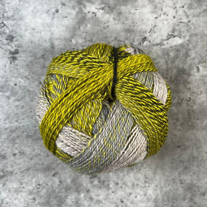 Schoppel Wolle Zauberball Crazy// 4 ply