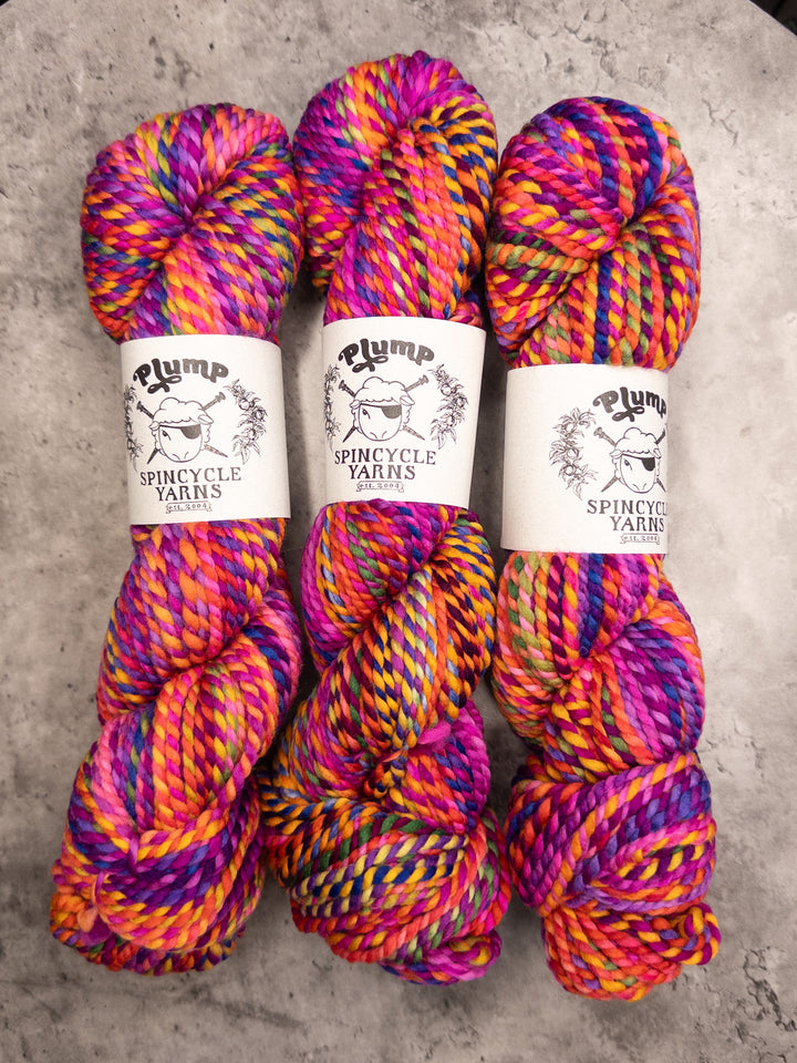 Spincycle Yarns // Plump // 12ply