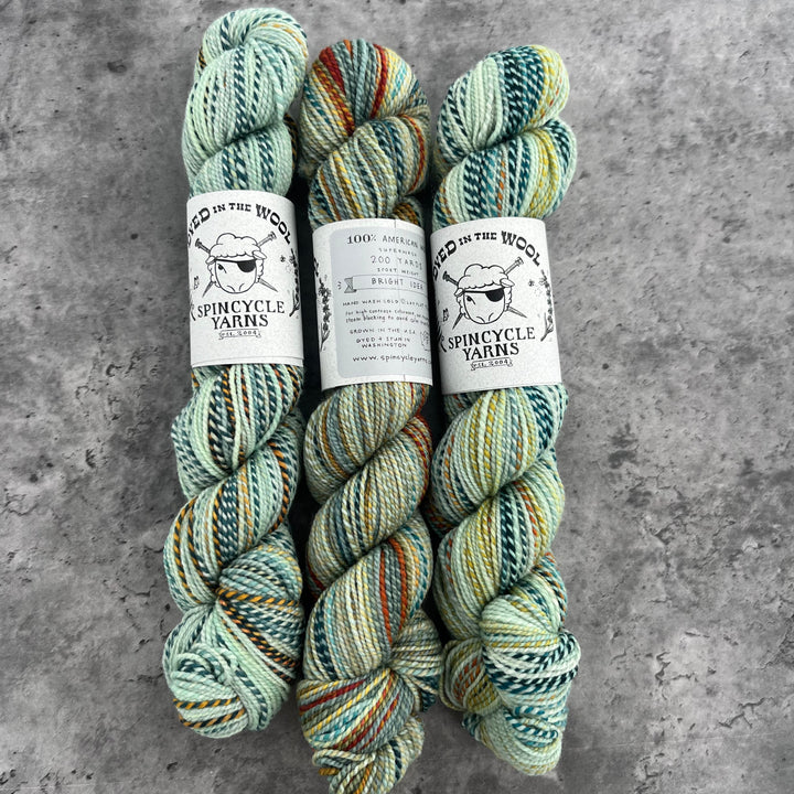 Spincycle Yarns // Dyed In The Wool // 5ply