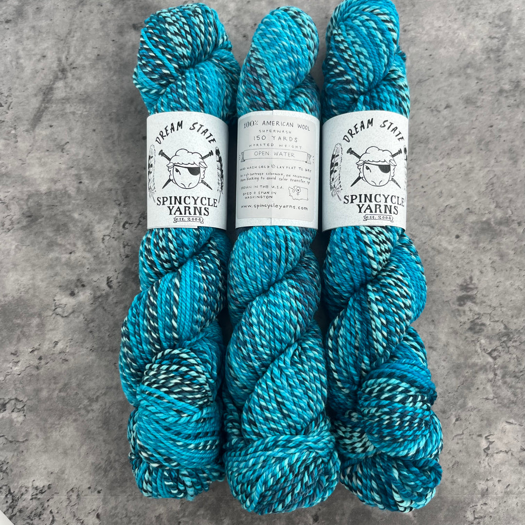 Spincycle Yarns // Dream State // 10ply