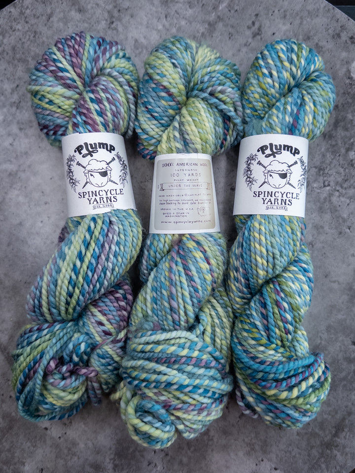 Spincycle Yarns // Plump // 12ply