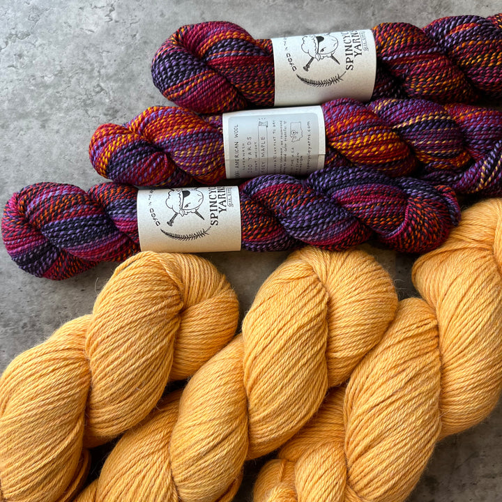 Summer ShawlAlong Yarn Kit - Cinnabar by Andrea Mowry