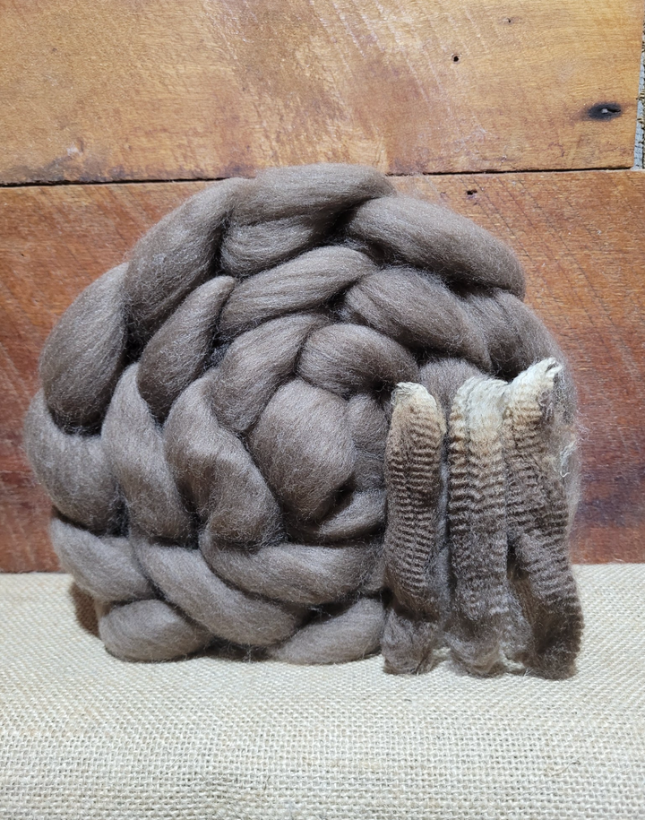 Haunui Combed Top