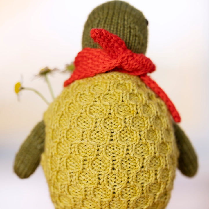 Jodie the Turtle Yarn Kit