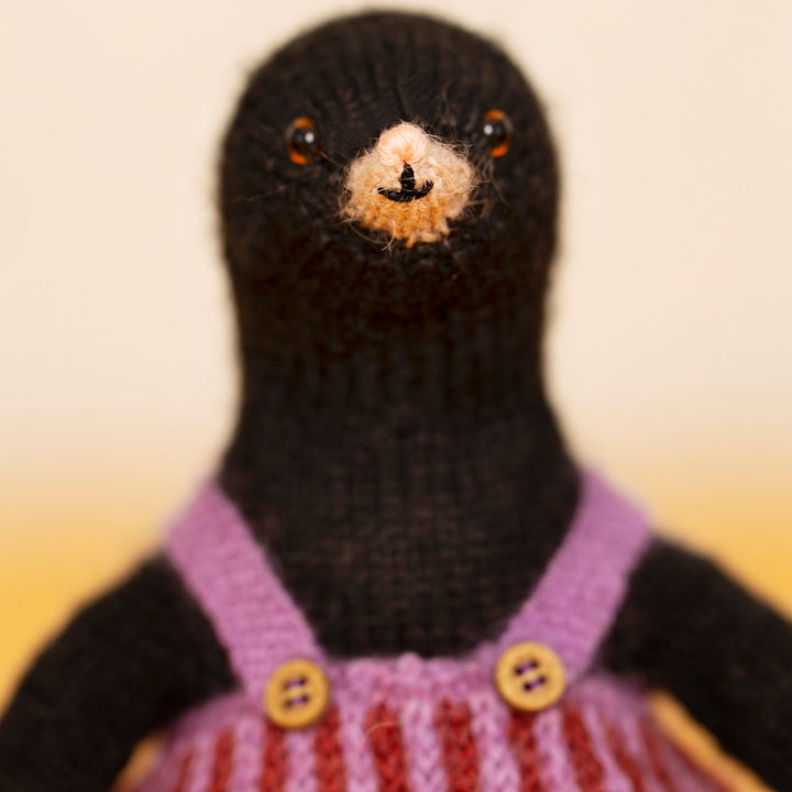 Double the fun: Didi & Merri Mole Yarn Kit