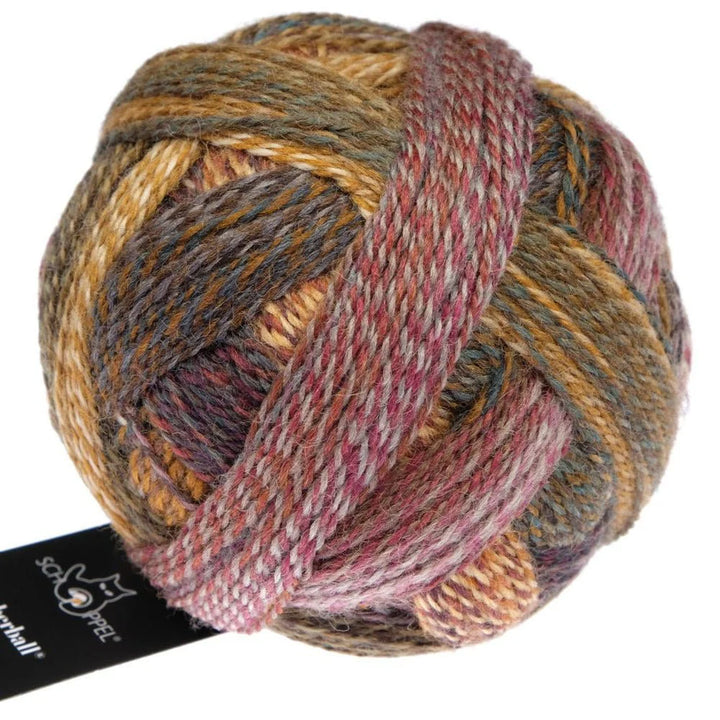 Schoppel Wolle Zauberball Crazy // 4 ply